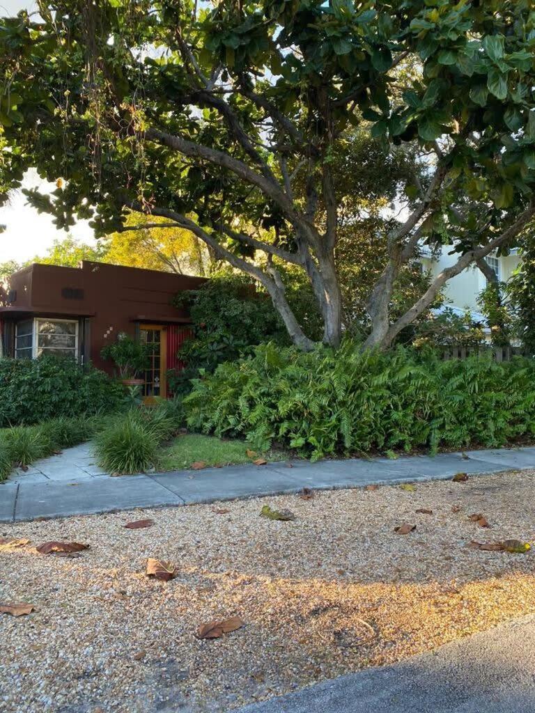 Delight And Cozy Apt Close To Las Olas & The Beach Fort Lauderdale Exterior photo