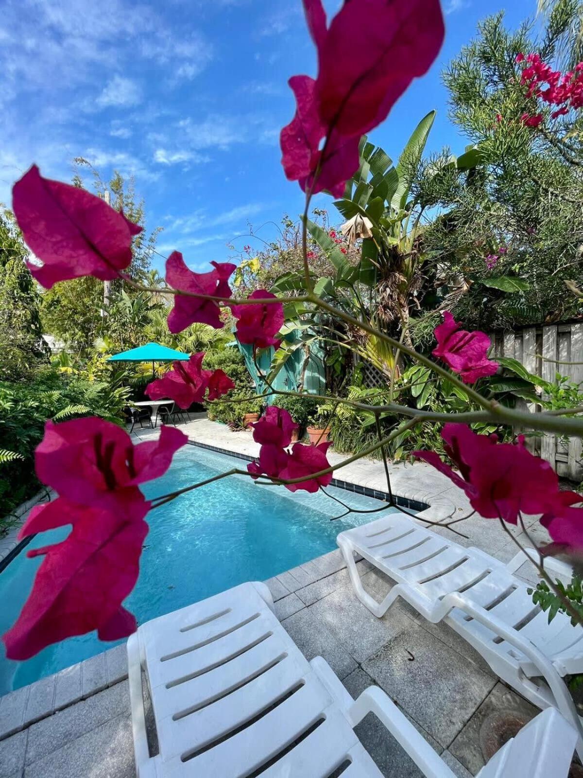 Delight And Cozy Apt Close To Las Olas & The Beach Fort Lauderdale Exterior photo