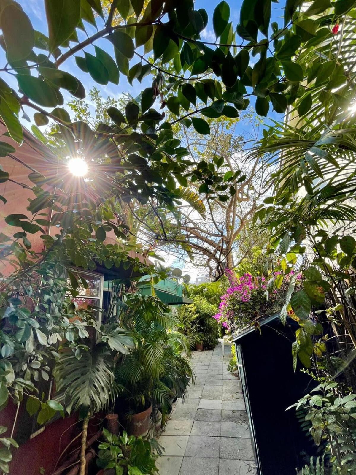 Delight And Cozy Apt Close To Las Olas & The Beach Fort Lauderdale Exterior photo